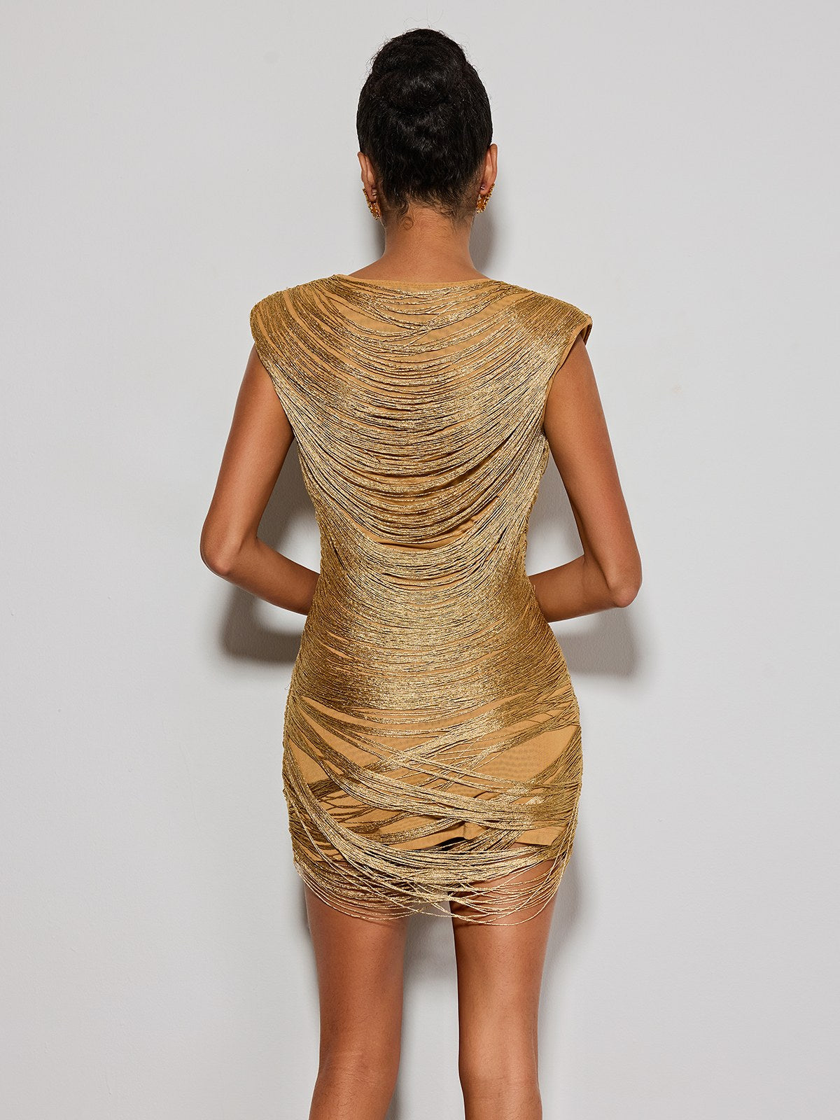 Drelmar Plunge Neck Fringe Mini Dress