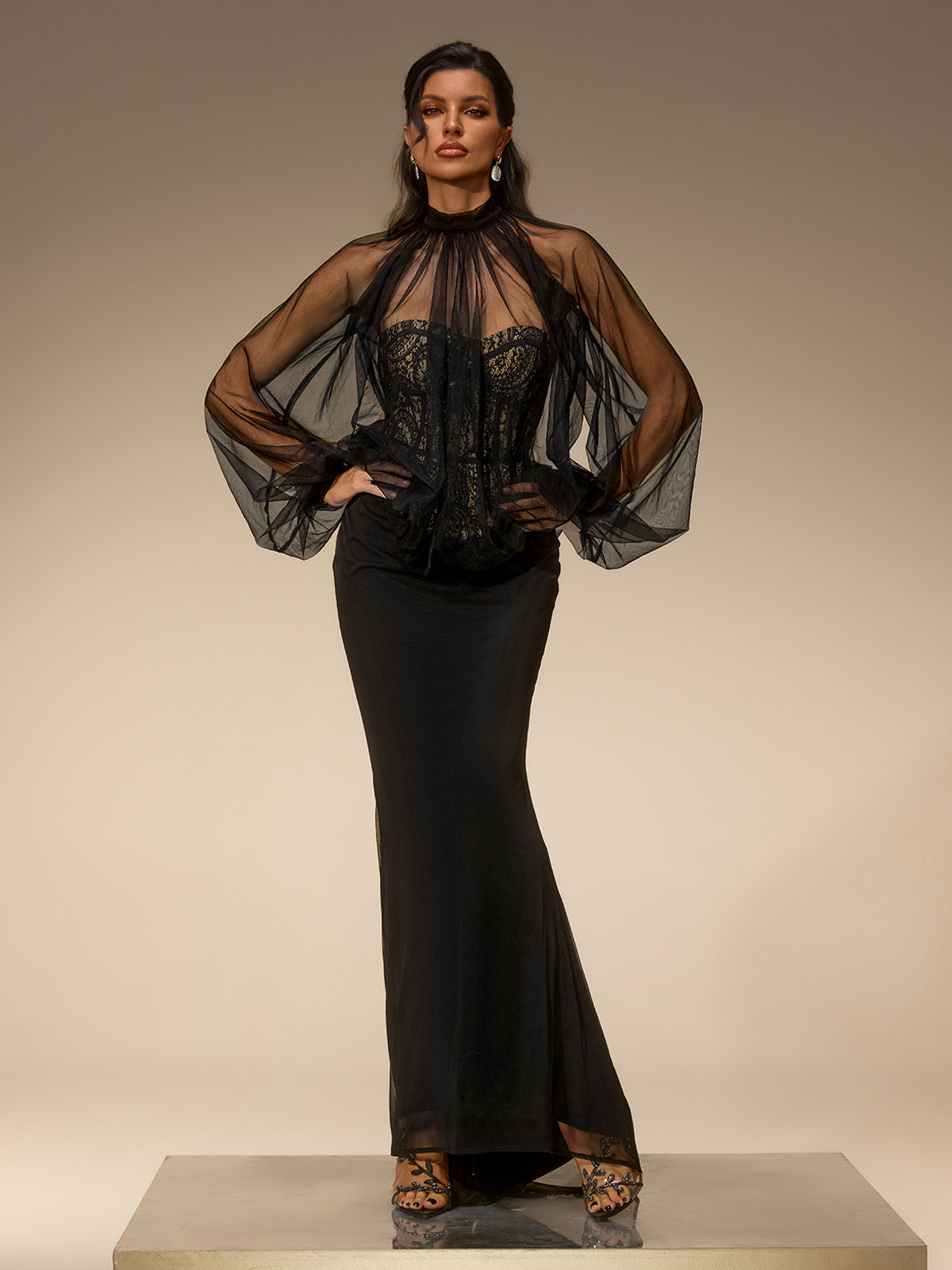 Evelia Lantern Sleeve Mesh Maxi Dress