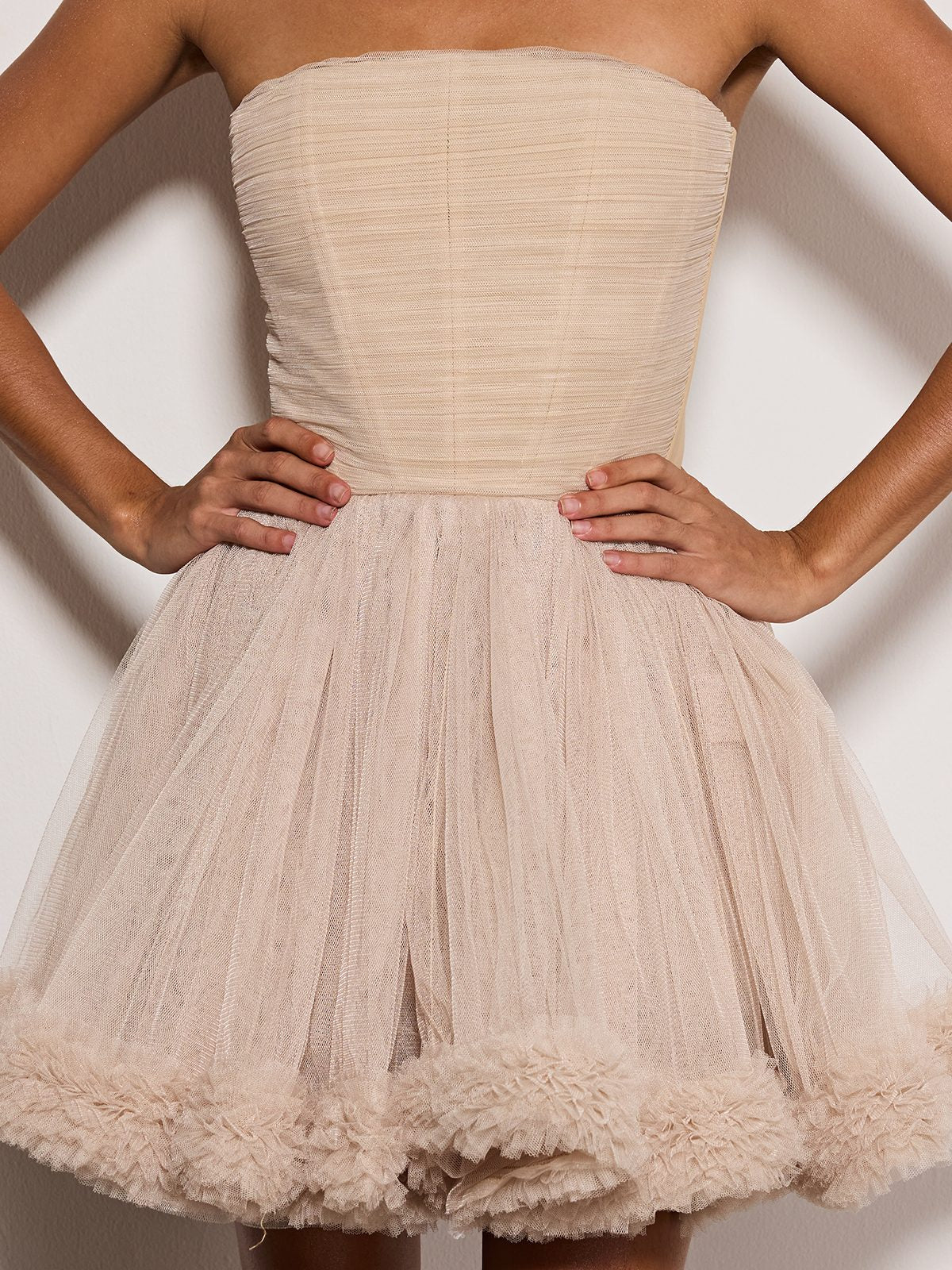 Ulvander Strapless Tulle Mini Dress