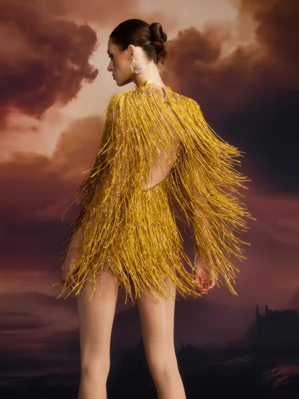 Cerena Fringe Sequin Bodysuit