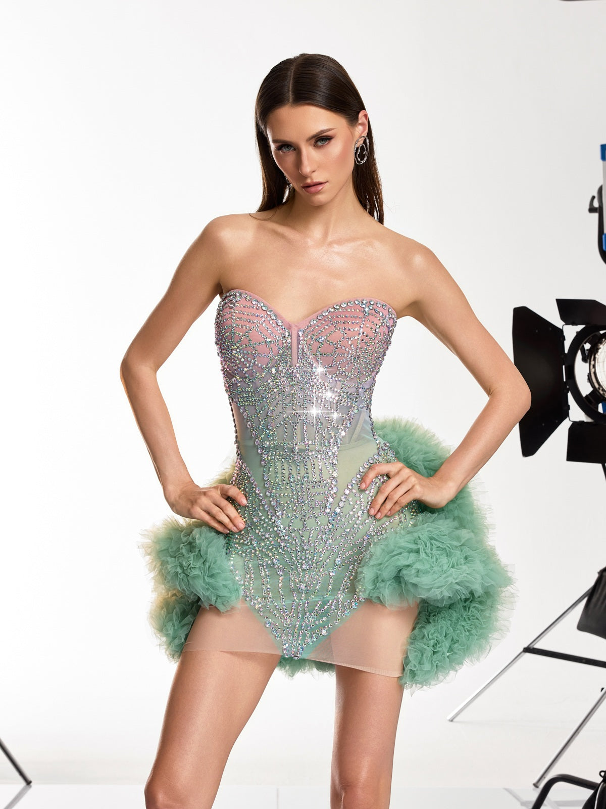 Dalinda Tulle Trimmed Crystal Mesh Dress