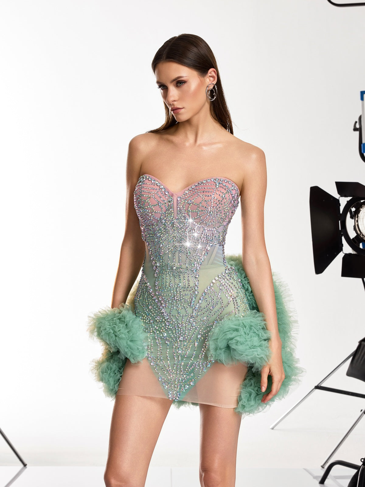 Dalinda Tulle Trimmed Crystal Mesh Dress