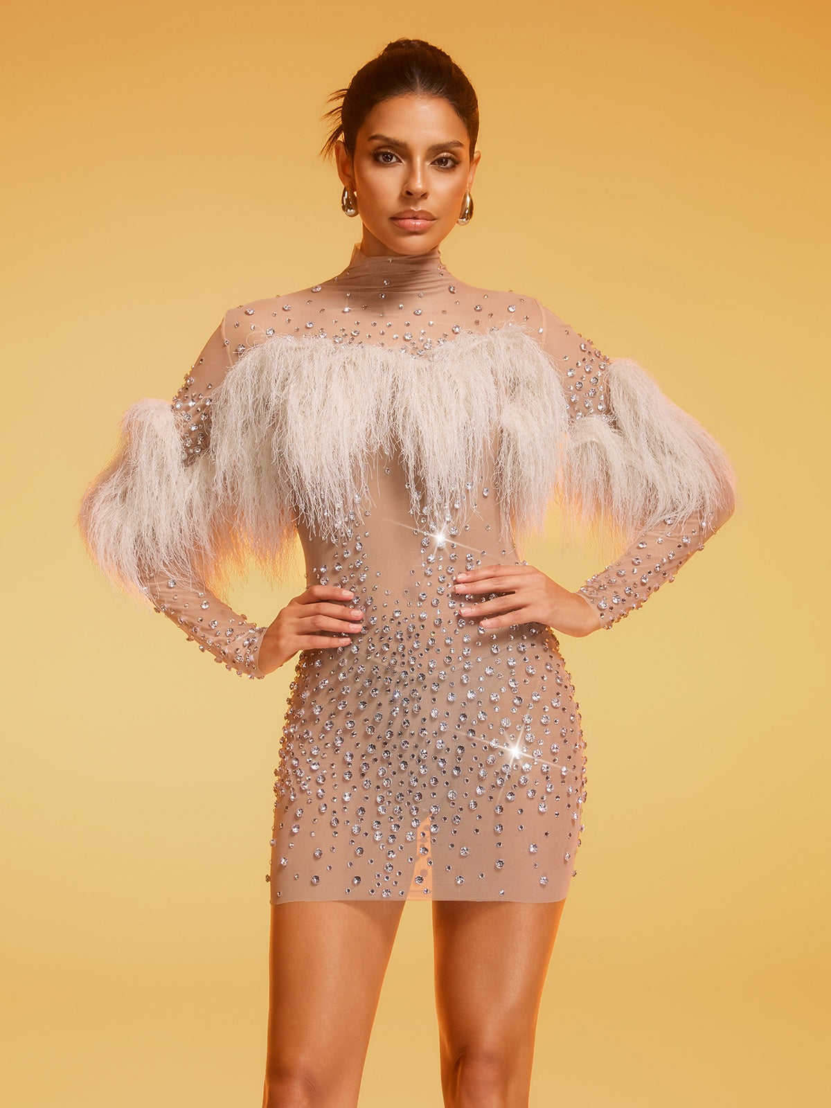 Diantha Fringe Rhinestone Mesh Mini Dress