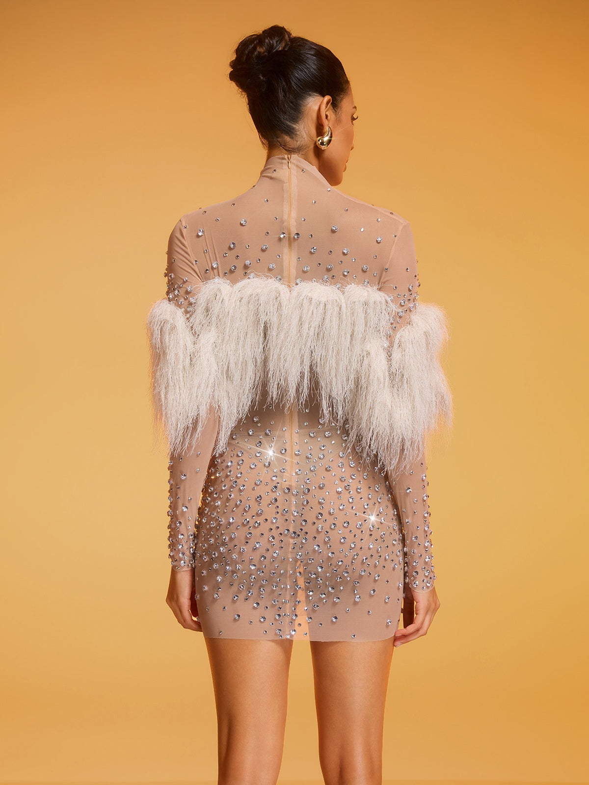 Diantha Fringe Rhinestone Mesh Mini Dress