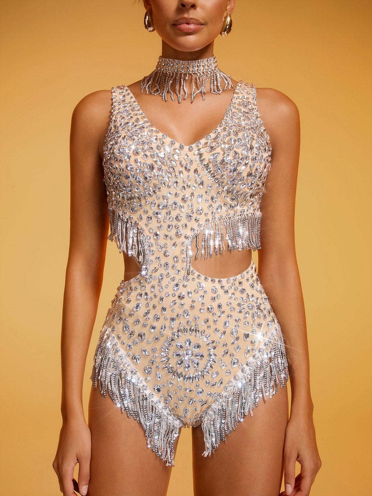 Didyme Crystal Fringe Cutout Bodysuit In Silver