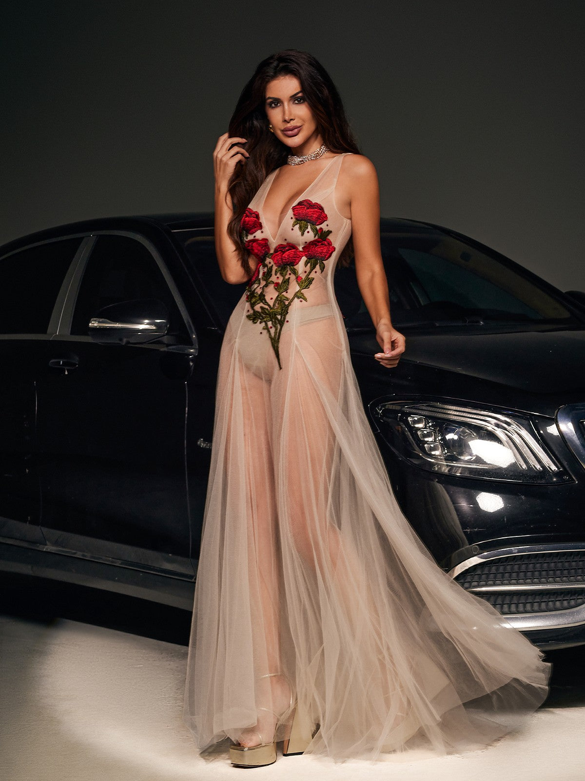 Kateri V Neck Flower Embroidered Mesh Dress