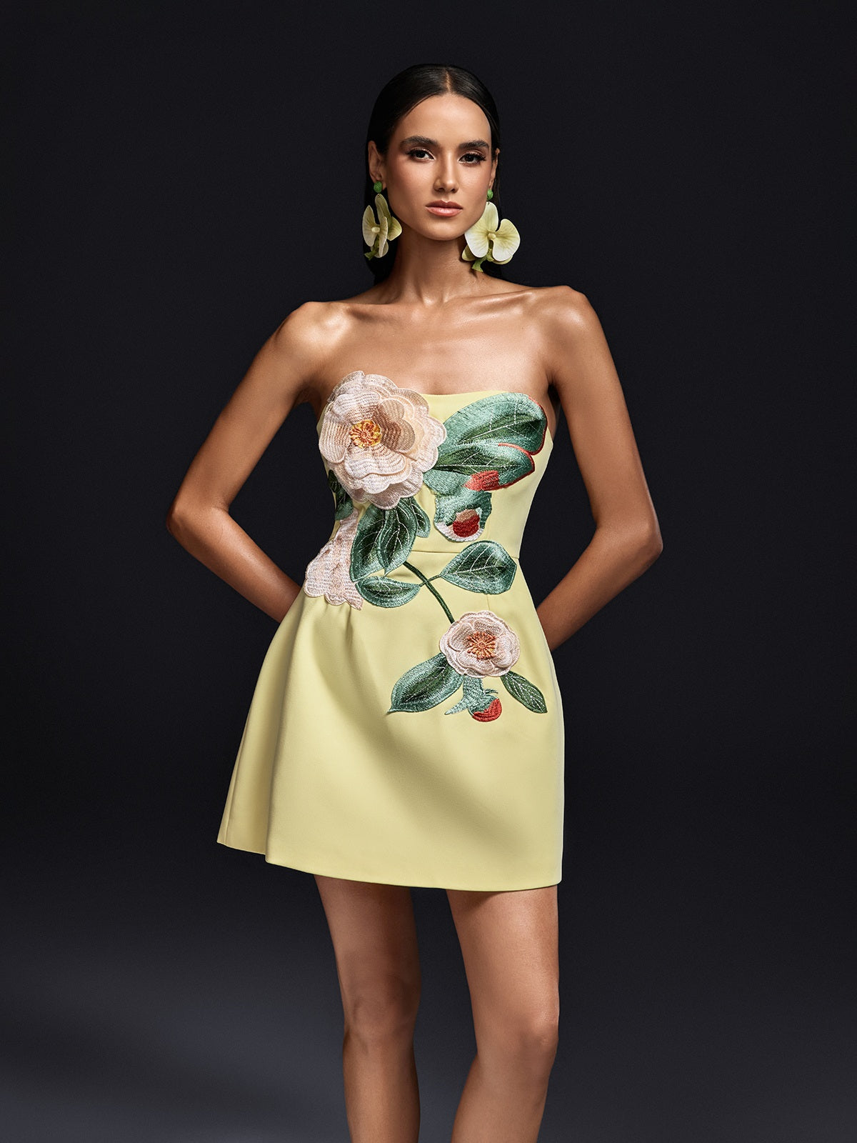 Olaniyi Strapless Flower Embroidered Mini Dress