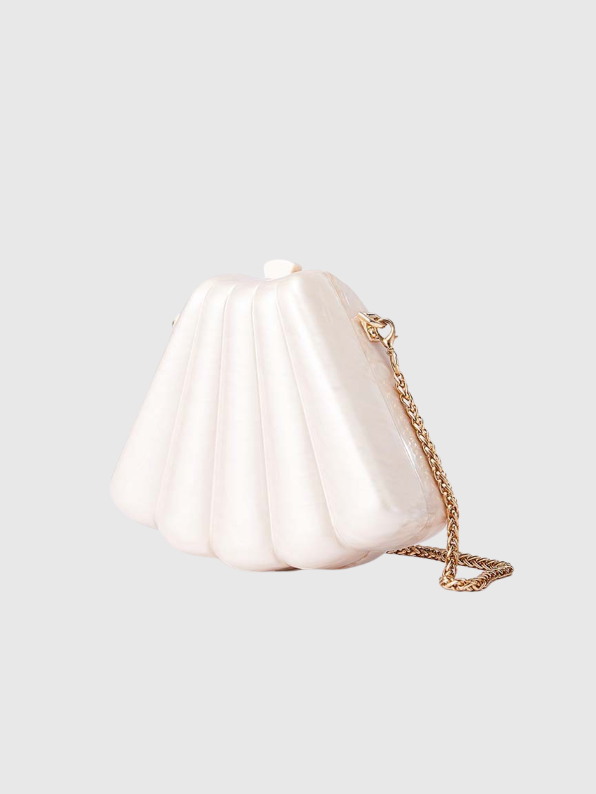 Xavelyn Acrylic Shell Bag